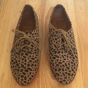 Leopard Dolce Vita oxford flats